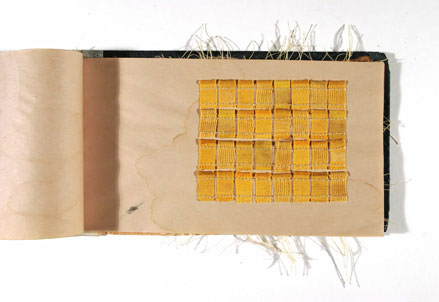 Collated and Reticulated, Adrienne Garbini