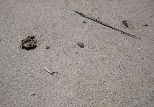 No Nowhere, Adrienne Garbini, Alex DeCarli