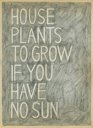 House Plants To Grow If You Have No Sun, Adrienne Garbini