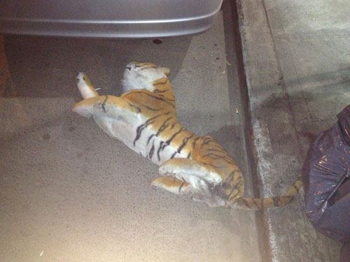 I'll Miss Your Garbage